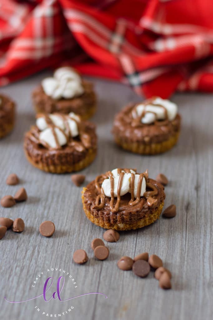 Homemade S'mores Mini Cheesecakes Recipe